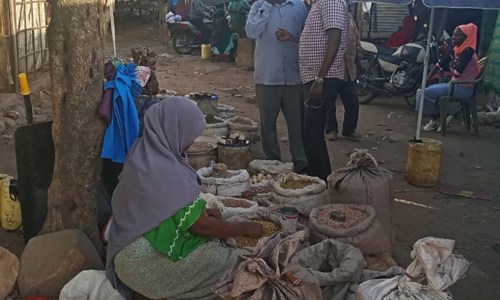 Consulting services to support IGAD with the implementation of the Regional Migration Fund